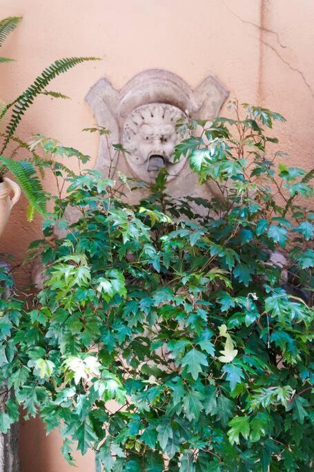Babuino Terrace Appartement Rome Buitenkant foto